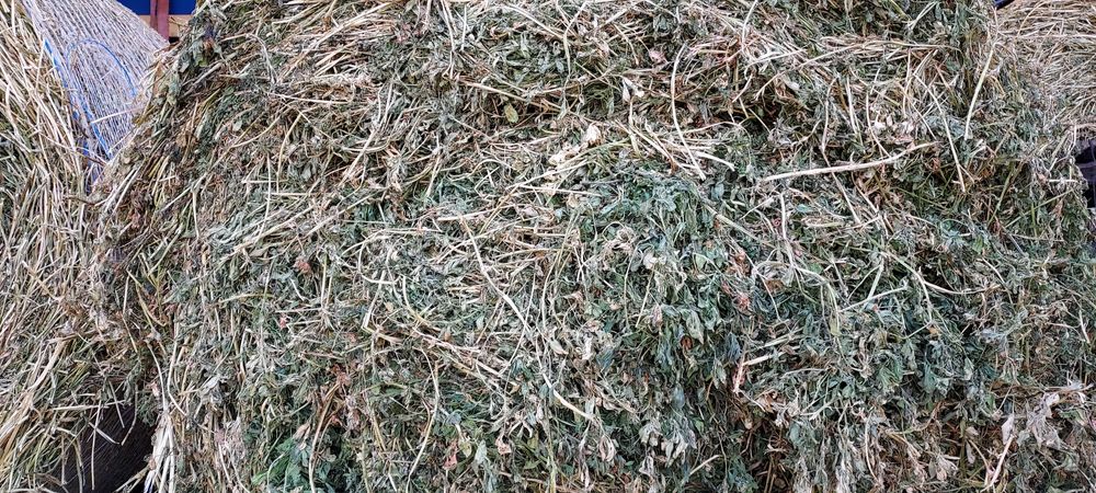 Baloți de lucernă, fân rotund,dreptunghiular!