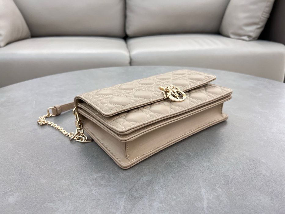 Geanta Christian Dior