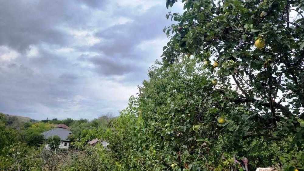 Proprietate în zonă de deal - comuna Zărnești, la 20km de orașul Buzău