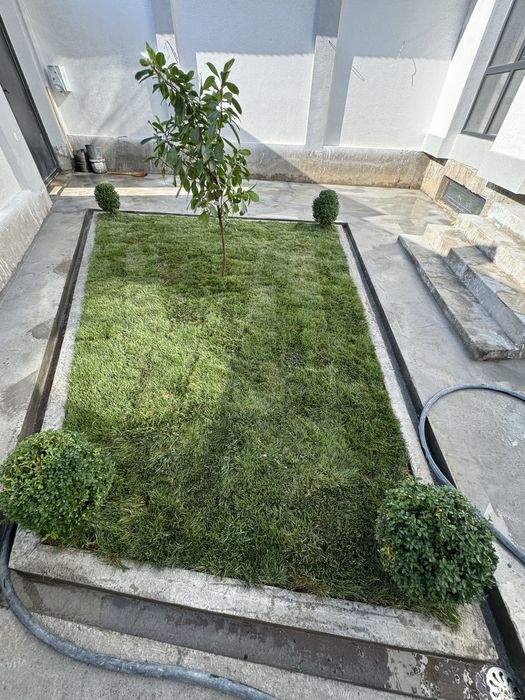 Тошкент туман ТошмиПостан1 км Хай тек уе сотилади