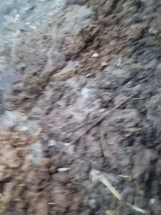 Пори , биогомус сотилади