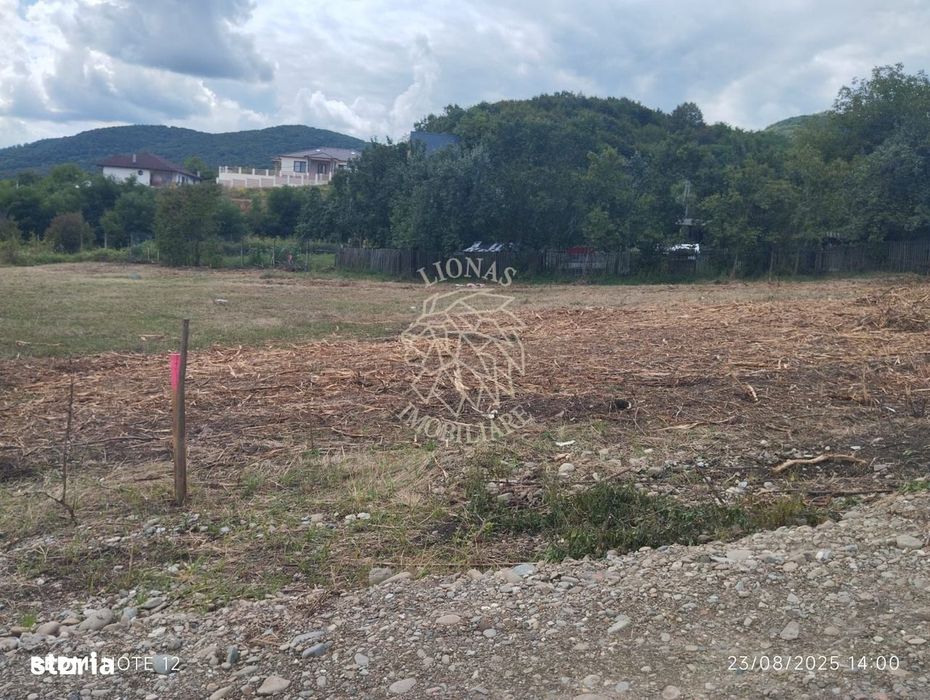 Teren 4761 mp-Parcelabil-pretabil investitie, casa-Viisoara
