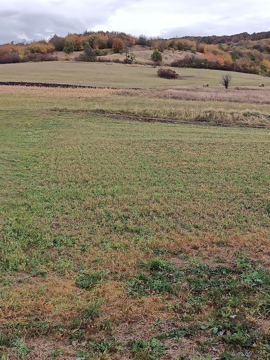 Vând teren in Popești deal extravilan parcele, la limită cu intravilan