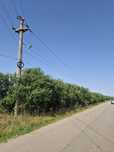 Inchiriez 11ha pentru parc fotovoltaic