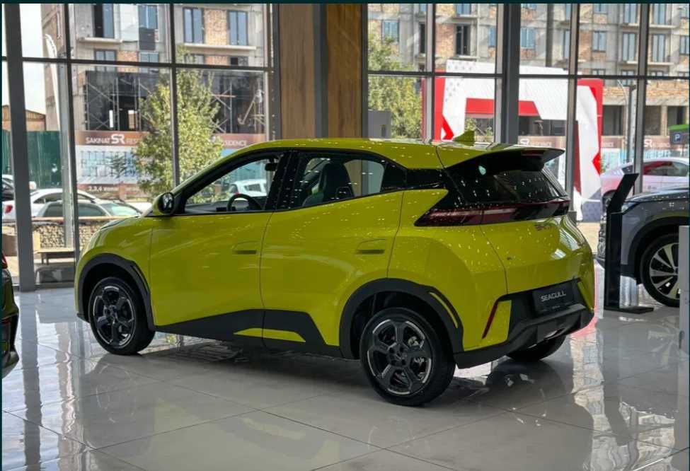 BYD Seagull 2025 eng foydali taklif Kredit yiliga 22%