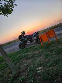 ATV EGL Mad Max 250cc