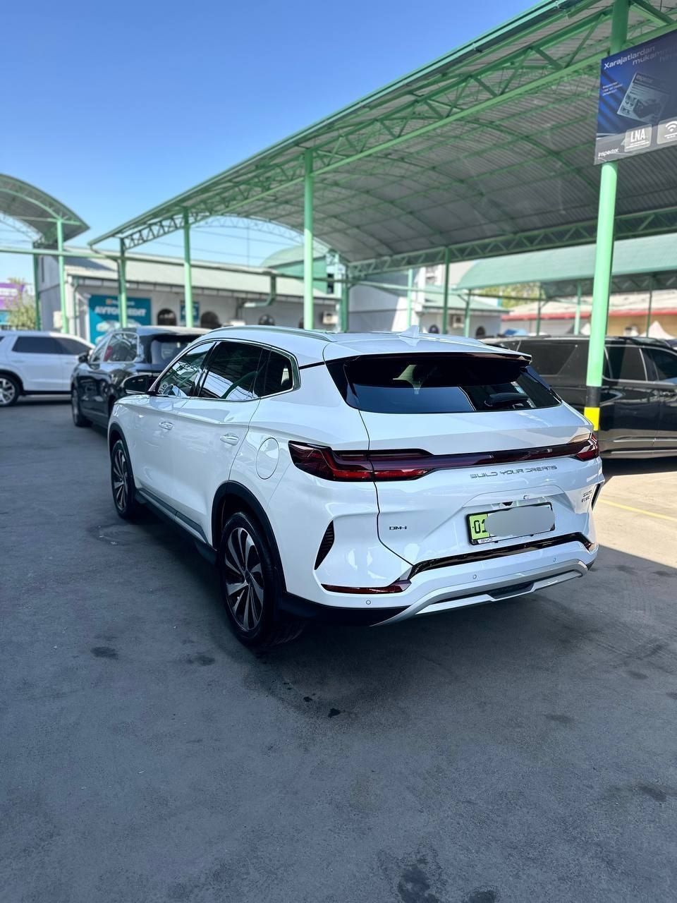 BYD CHempion gibrid 2024