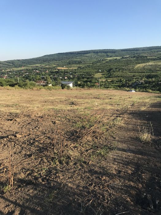 Teren 620 mp intravilan Goruni