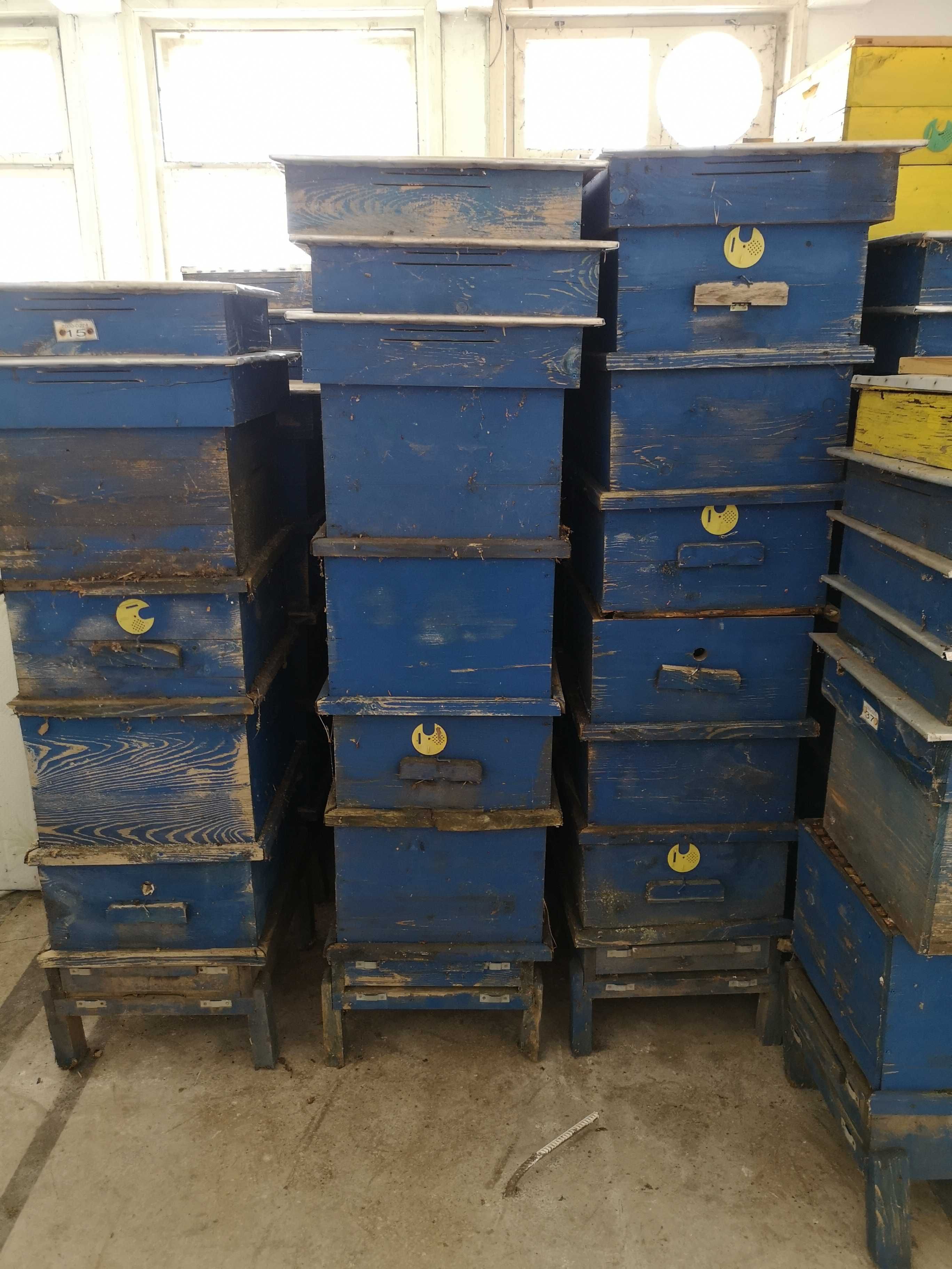 Продавам пчелни кошери