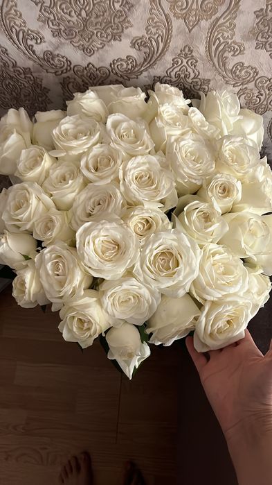Розы белые шикарные