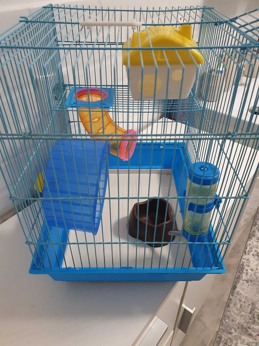 Cusca hamsteri completa