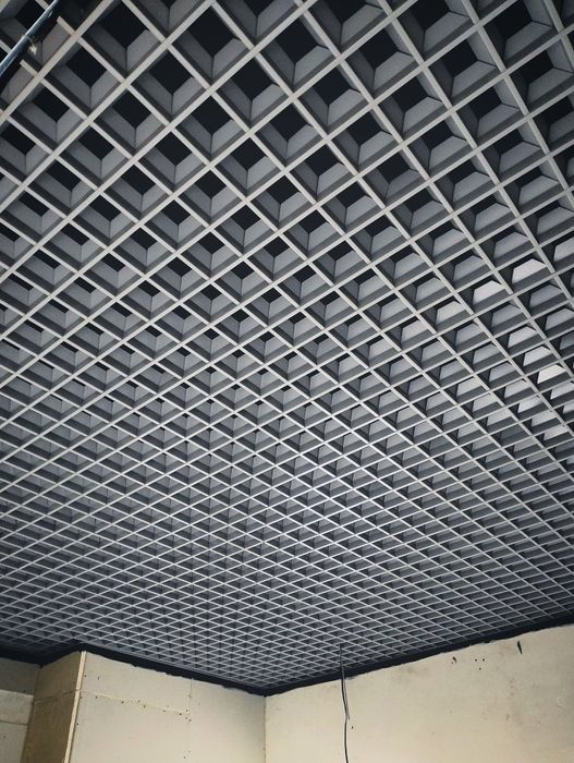 Грилято Пирамидальный, Piramidasimon Grilyato