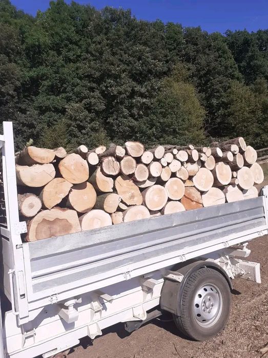 Vînd lemne de foc la 250 lei metru