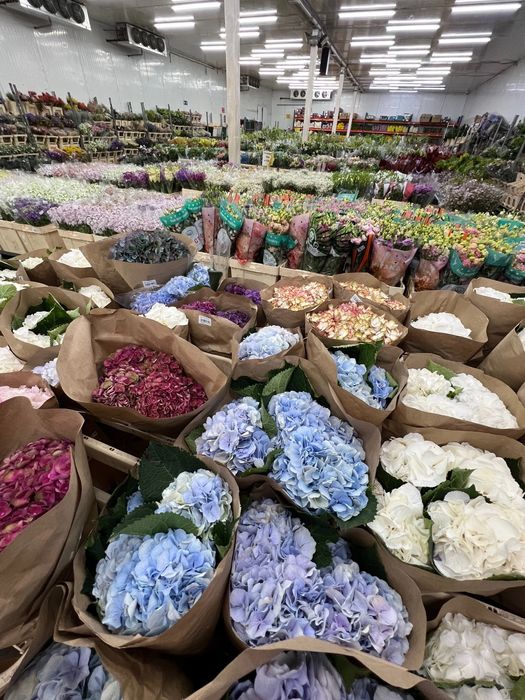 Со склада Розы, пионы, гортензии, большой выбор