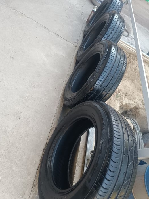 Cantinental 34-hafta 2024-yil