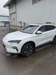 BYD Chempion 2025