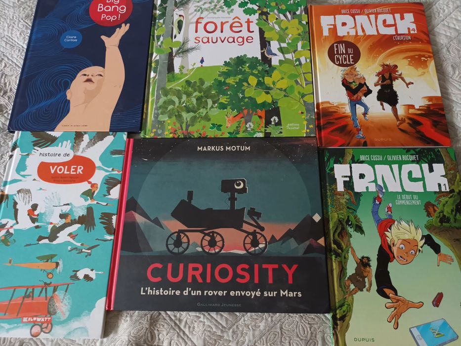 Cărți limba franceza