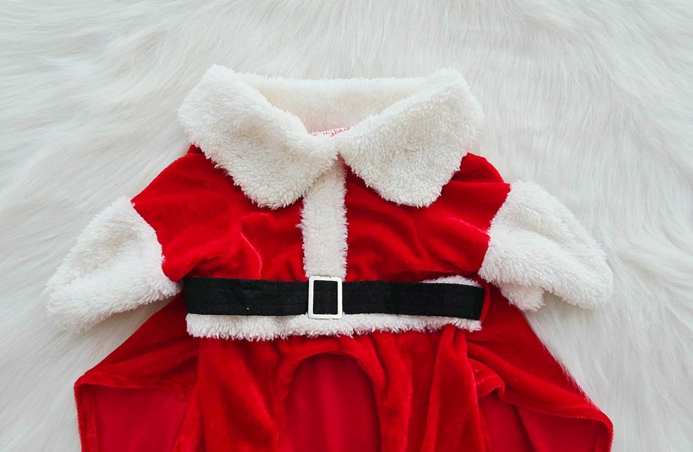 Коледен костюм за кучета