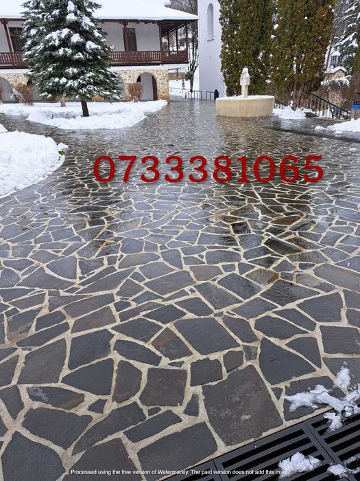 Tuia smarald si gazon rulouri amenajari de gradini exterioare