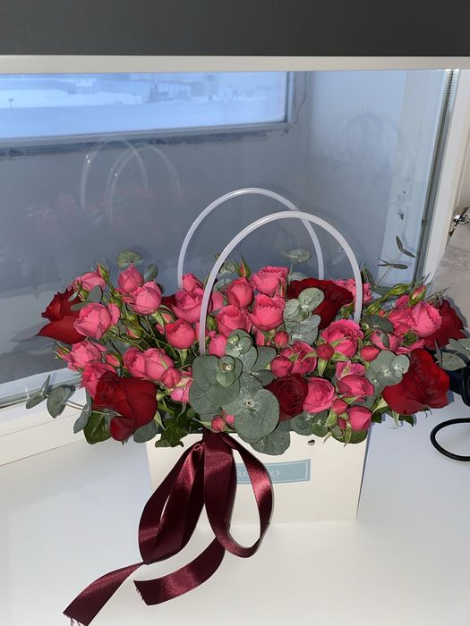 Продам цветы новые