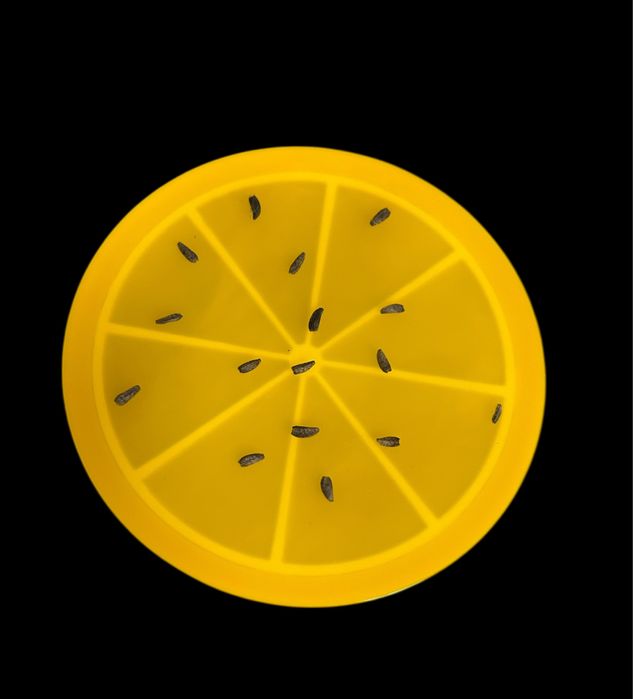 Seminte de brusture BIO pentru plantat cultivat