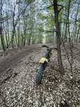 Suzuki RM 250 2t