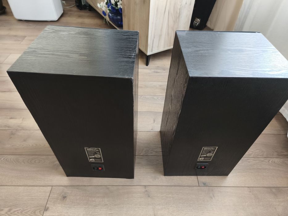 Boxe Cat Berlin Disco