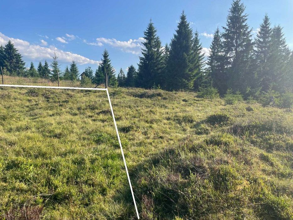 Teren de vanzare, 1000 mp, in zona Belis / Calatele Padure (jud. Cluj)