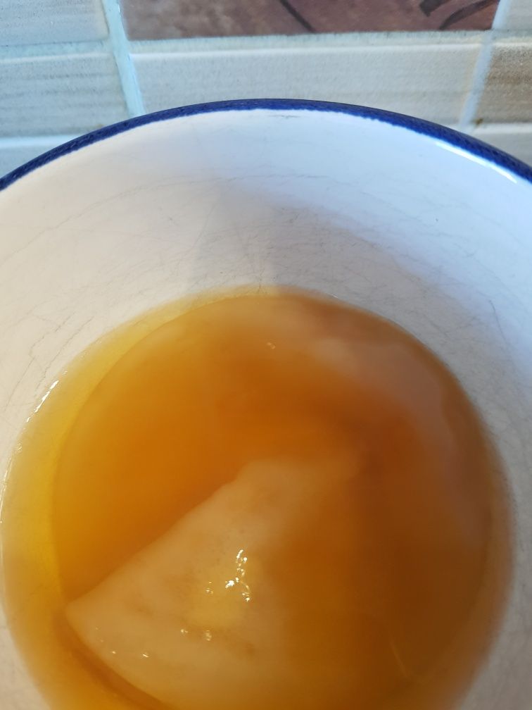 Kombucha scoby ciuperca