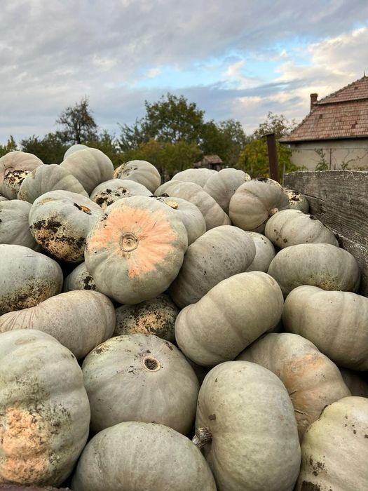 Dovleac dulce pentru cuptor