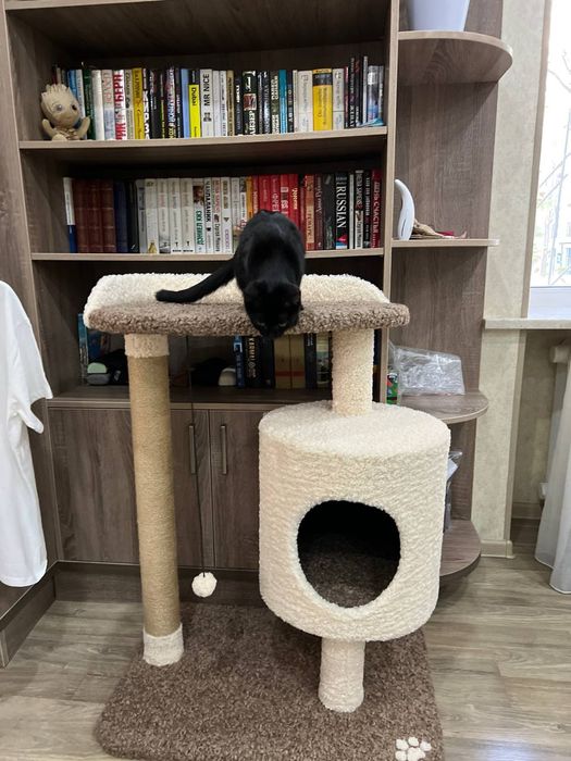 Домик для кошки. Когтеточка кошек. Зоодомики