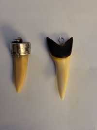 Зъби от акула -талисман за късмет