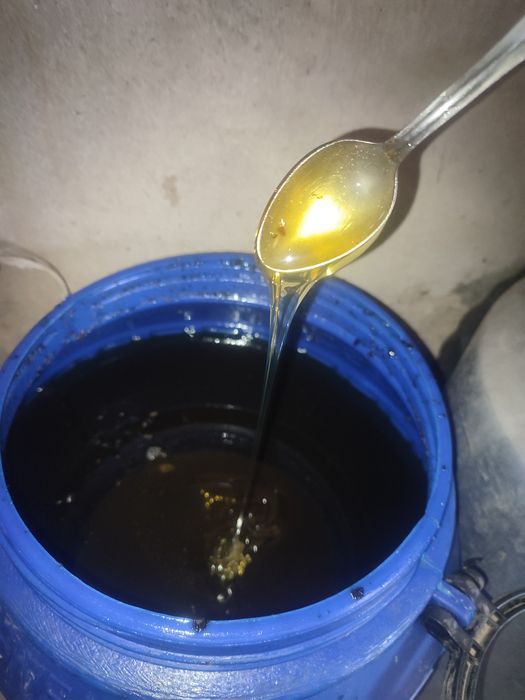 Натуральный горный мёд 100% табиий тог асали 100% халол ИншаАллах