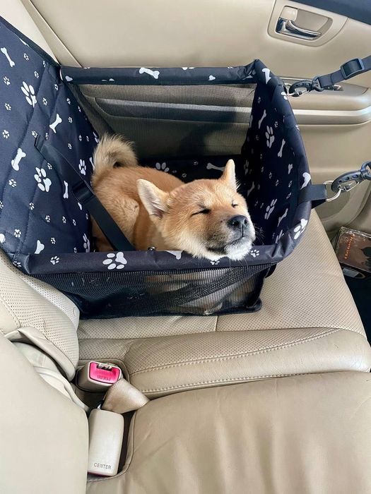 Столче за кола, за куче