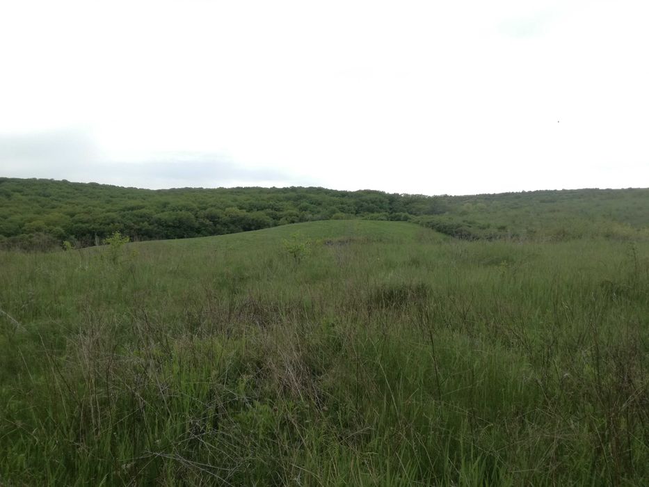 Loturi de casa in Uricani langa padure 55 euro/mp