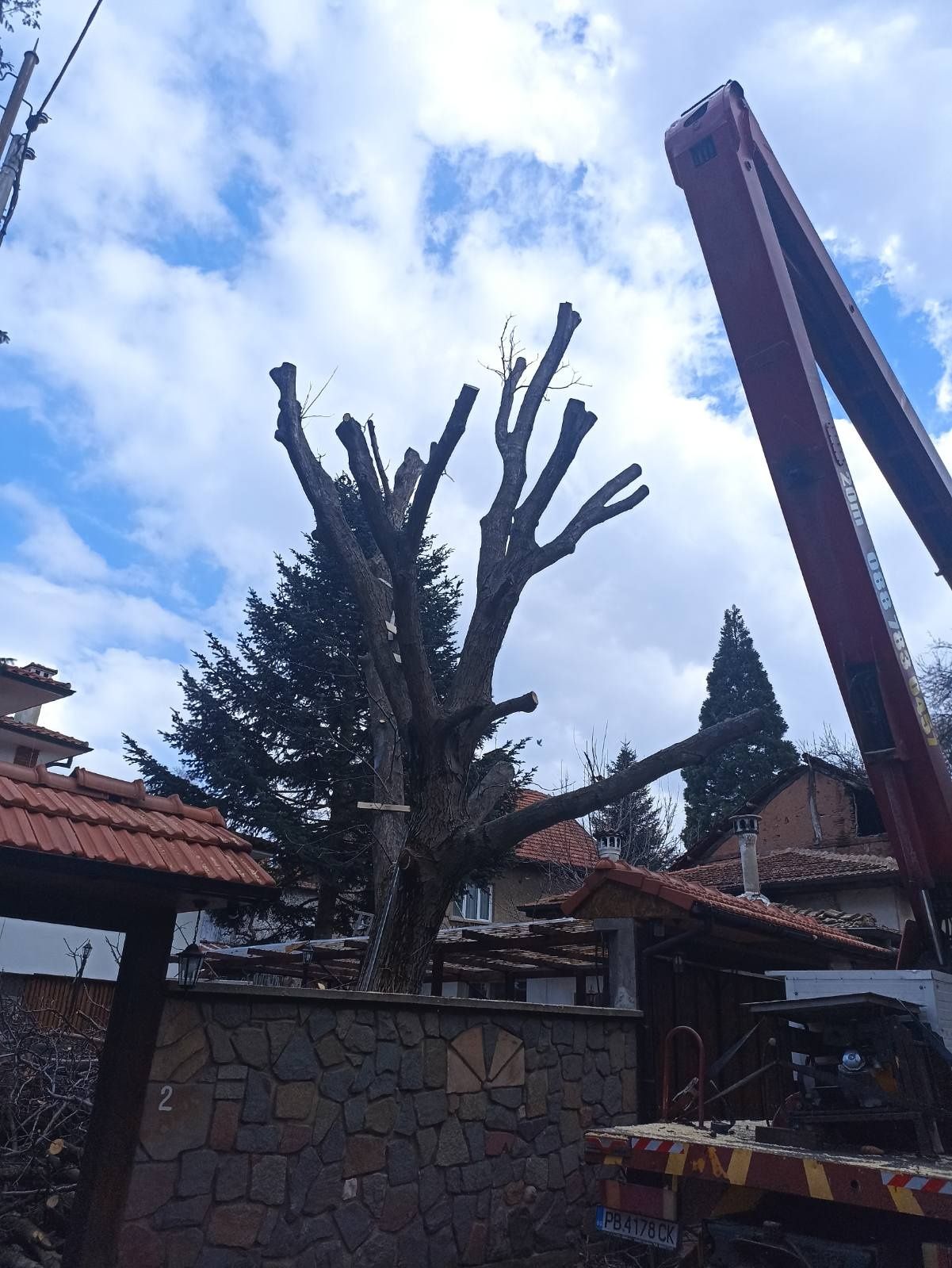 Рязане на  опасни дървета с вишка или по алпийски способ