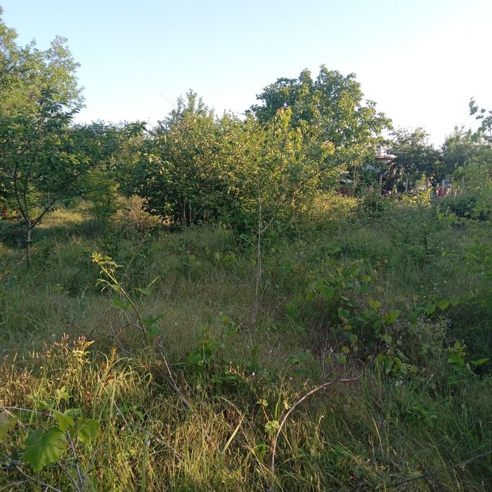 Продавам дворно място 600 кв.м.Местност Черешова градина