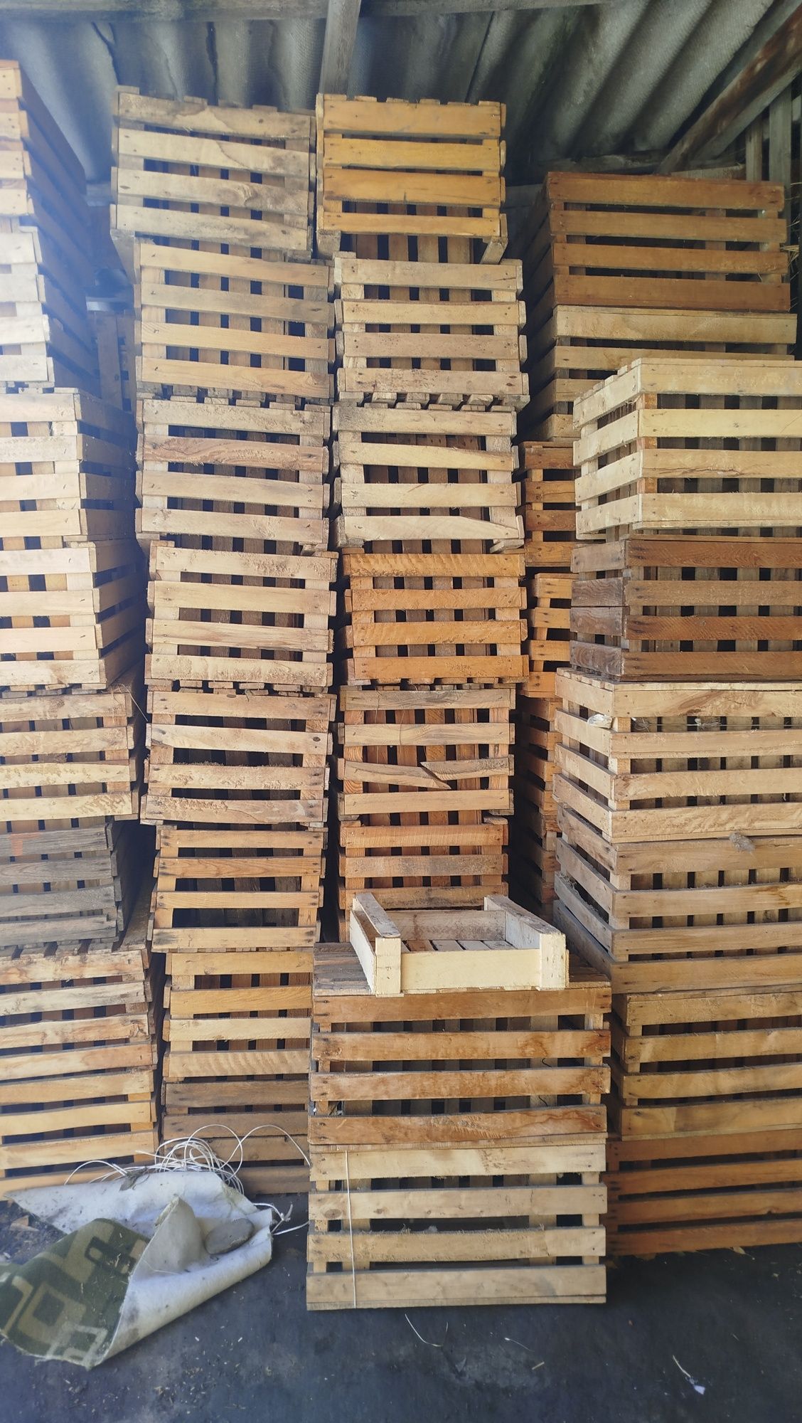 Продам ящики для яблог