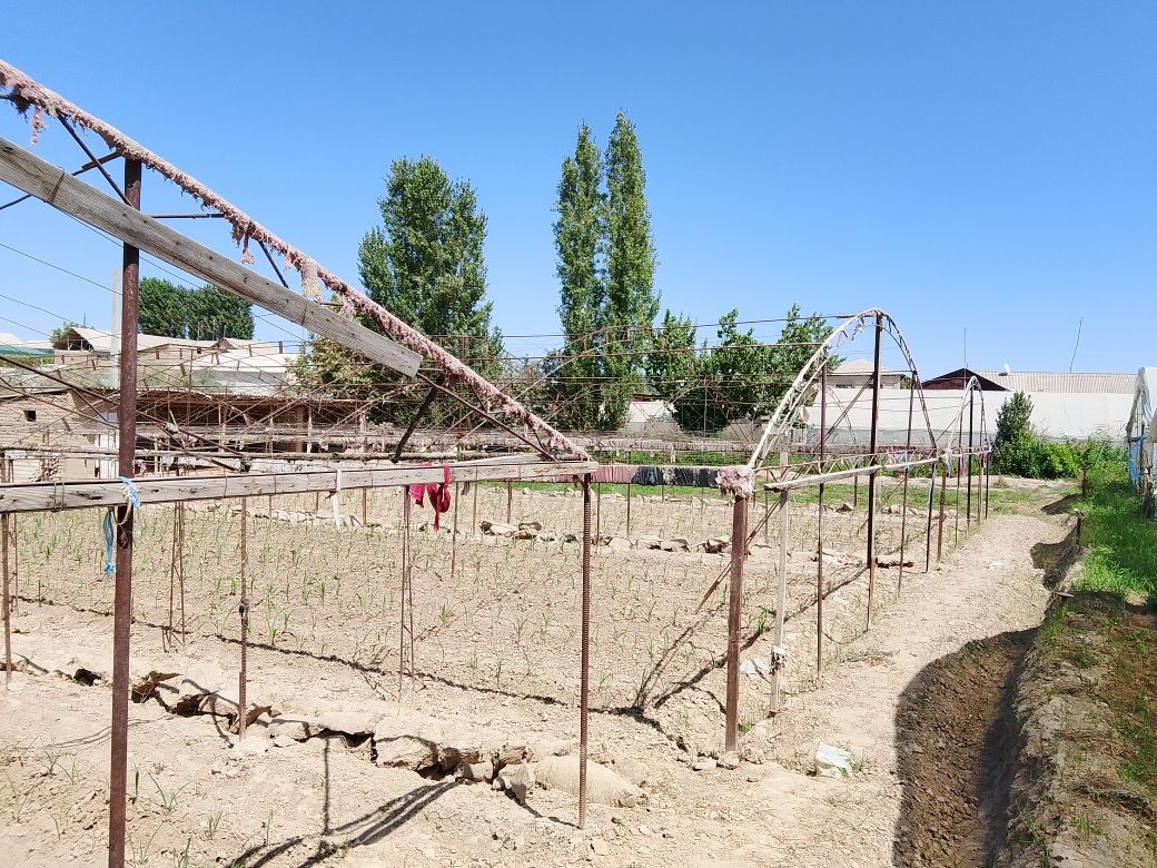 Teplitsa sotiladi