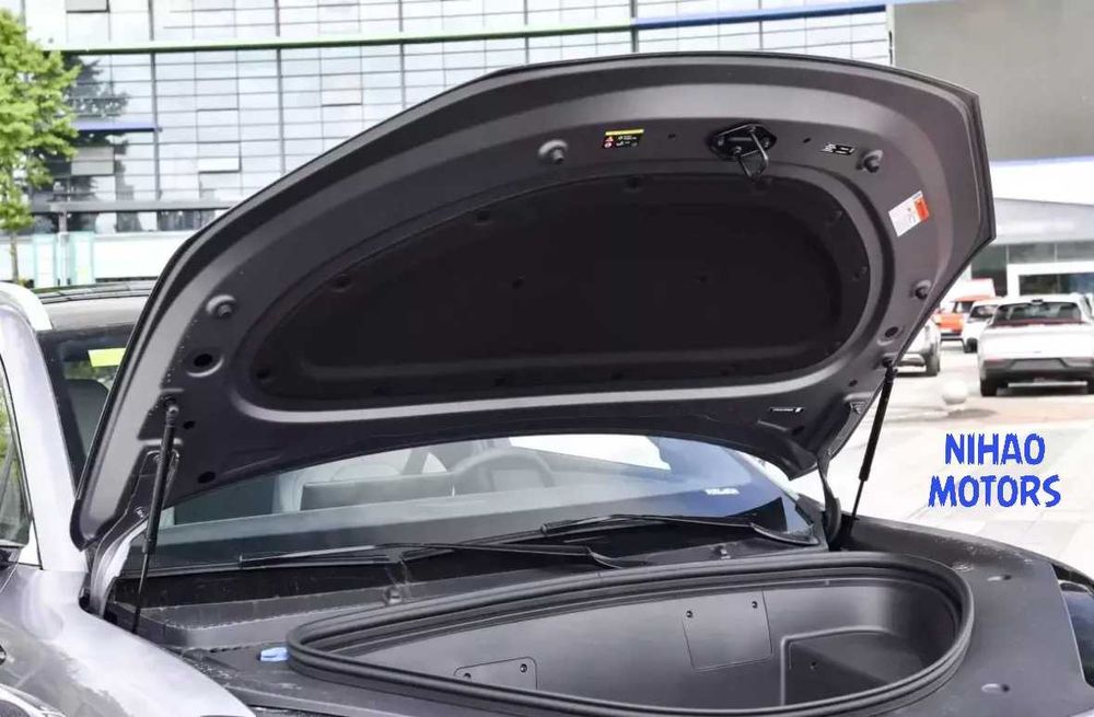 BYD Sea Lion 06 — (Под заказ)