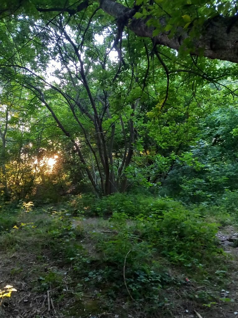 Efectuez masaj de relaxare la domiciliul