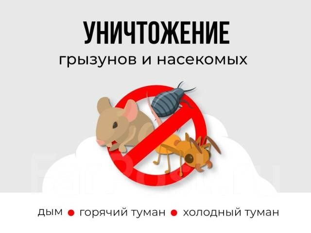 Супер цена 100% гар дезинфекция дизинфекция dizinfeksiya dezinfeksiya