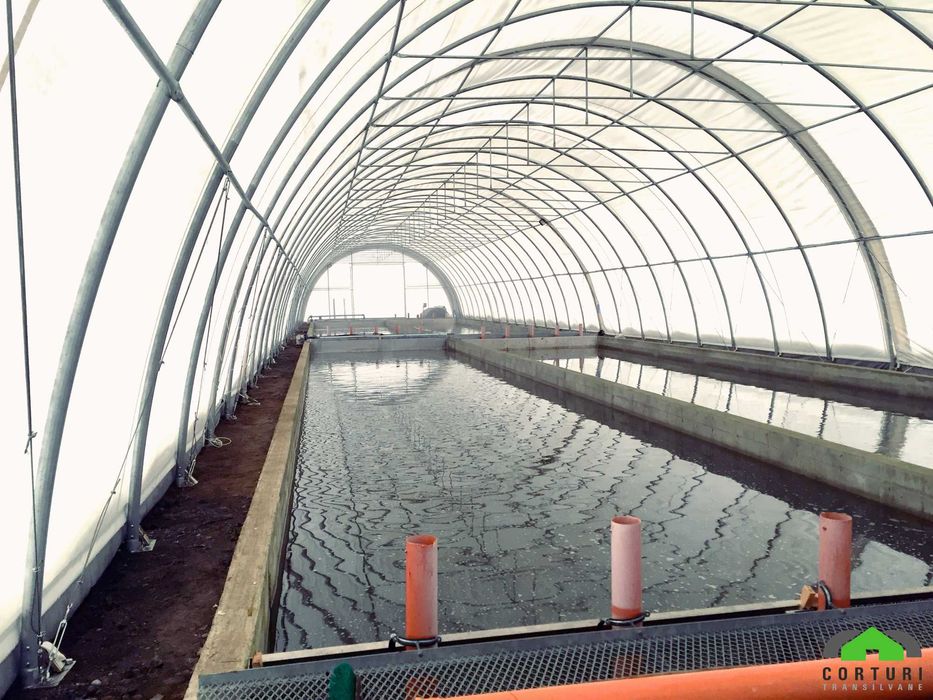 Cort industrial depozitare până la 366 mp! Preț BOMBĂ!