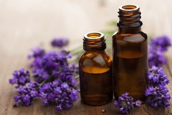 Ulei de lavanda soiul Officinalis Angustifoglia