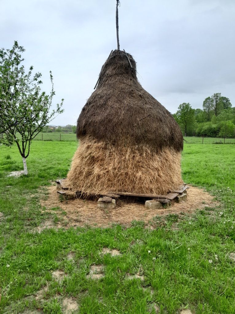 Vand Fan de ogradă