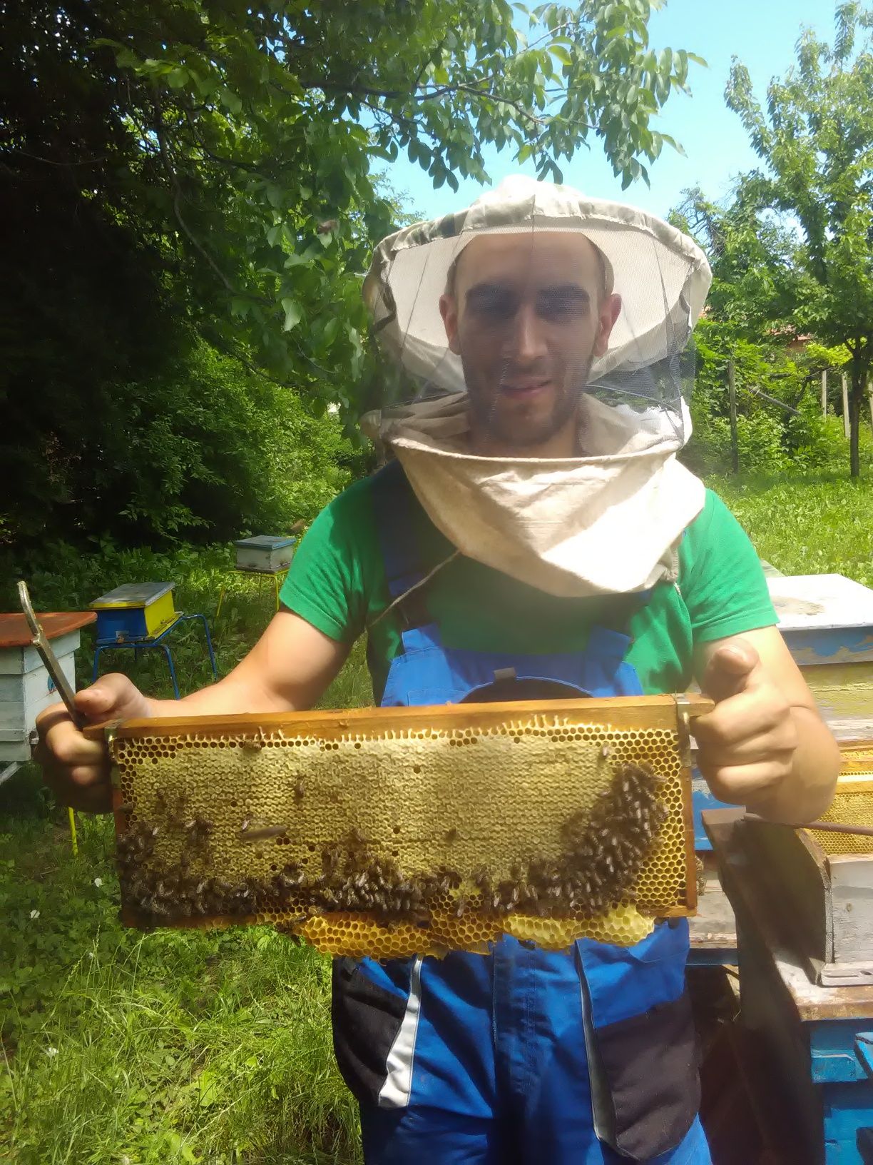 Продавам пчелен мед