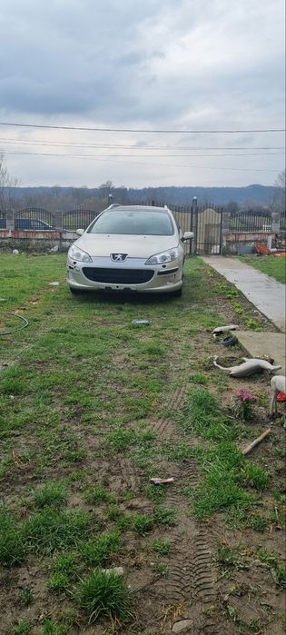 Peugeot 407 SW 2006 2.0 HDI