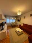 Apartament de inchiriat 2 camere Mihai Viteazu