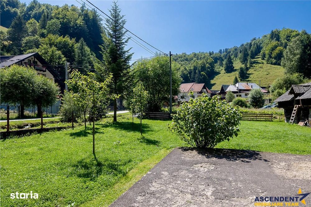 Oaza rustica: Case si teren generos de 9.400 mp in Dambovicioara, Arge