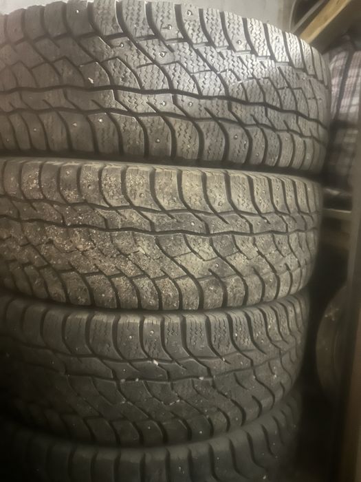 Viatti Bosco Nordico 225x65 R17